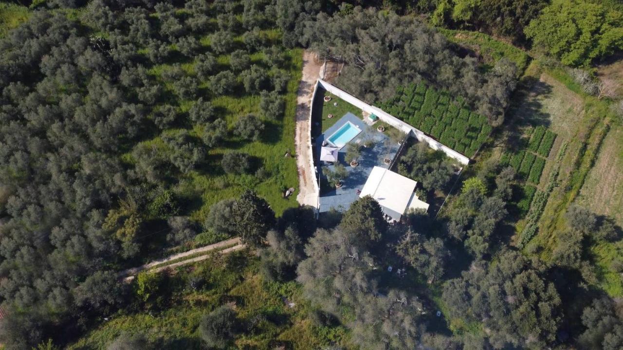 Villa Gardiki For2 Halikounas المظهر الخارجي الصورة